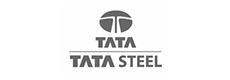 Tata Steel icon